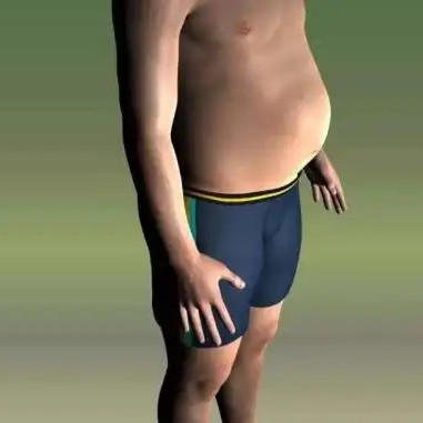 是什么原因?qū)е滦「谷菀锥逊e脂肪？